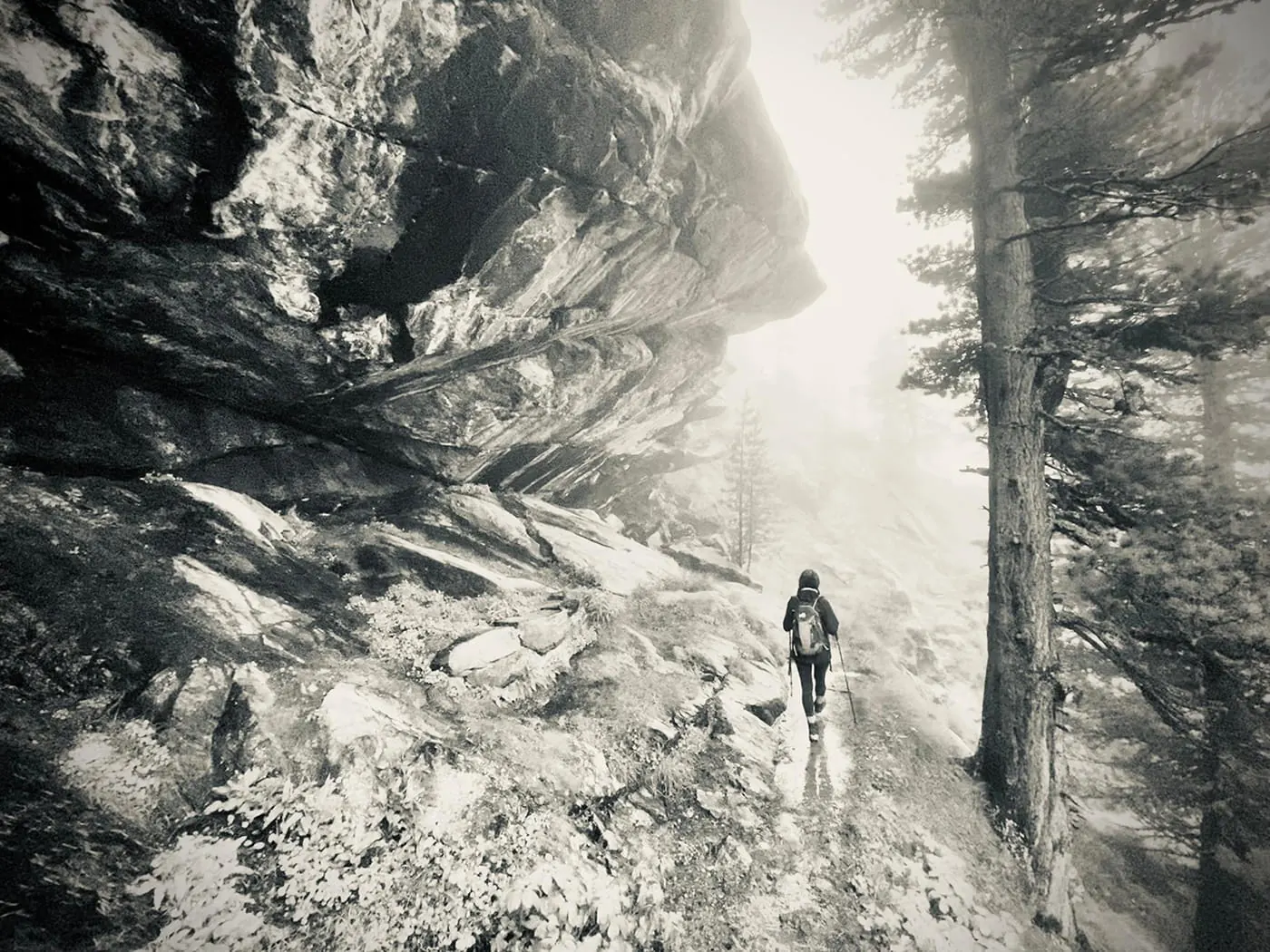 Hiker walking through a dramatic alpine forest and rock passage